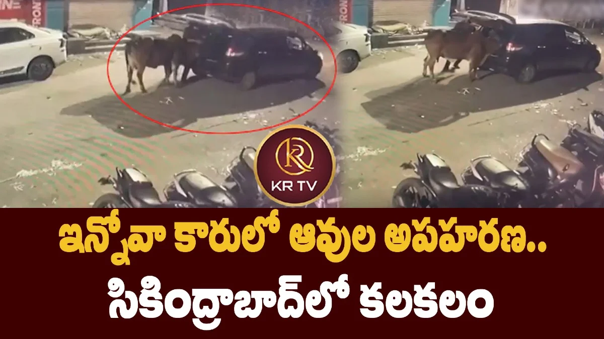 ఇన్నోవా కారులో ఆవుల అపహరణ.. సికింద్రాబాద్‌లో కలకలం